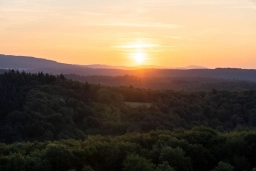 WALD WEIT 75