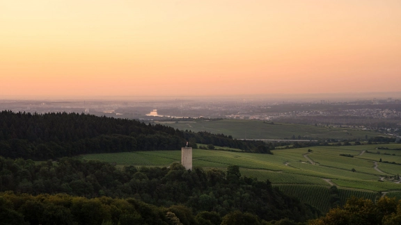 Panoramablick vom Hotel über Wälder und den Rhein im Rheingau bei atmosphärischem Licht