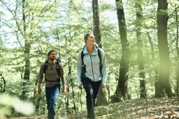 Zwei Personen wandern durch einen Wald in der Nähe vom Hotel im Rheingau