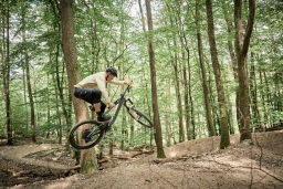 Unweit der beliebten Wanderwege im Rheingau befindet sich auch ein MTB Trail, auf dem ein Fahrer gerade einen Sprung durchführt