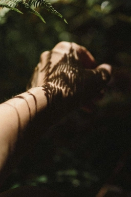 Nahe eines Sporthotels im Rheingau ist auf einer Hand der Schatten eines Blattes zu sehen, die andere Handhälfte ist von der Sonne beschienen