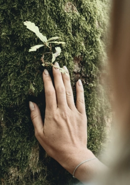 Nahaufnahme von einer Hand, die auf einem Baum liegt, der mit Moos bewachsen ist und aus dem ein kleiner grüner Zweig wächst