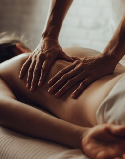 Wellness Freelancer Header