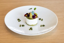 Ein Gericht im Restaurant mit Aussicht wurde ansehnlich auf einem weißen Teller serviert